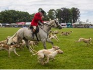 76. The Cotswold Show, Cirencester